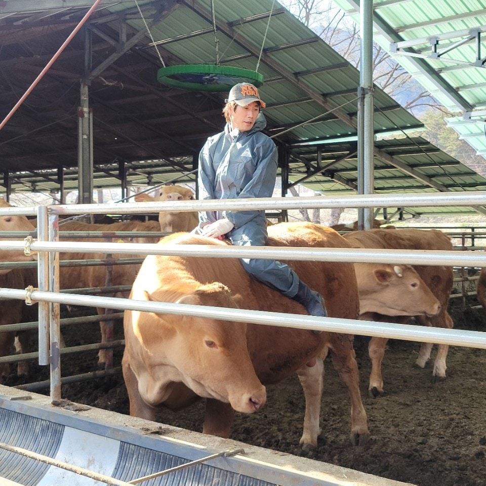 함양미경산한우 목장